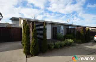 3/494 Hereford Street , Linwood