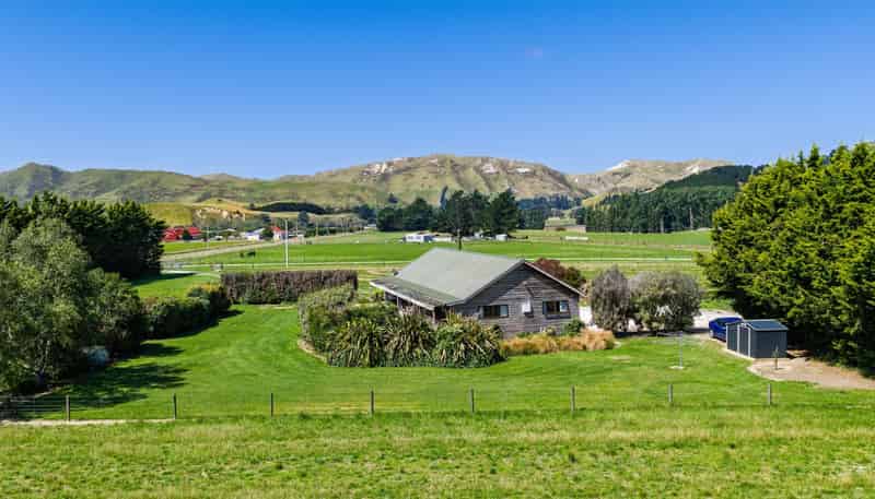 36 Seddon Street, Ward