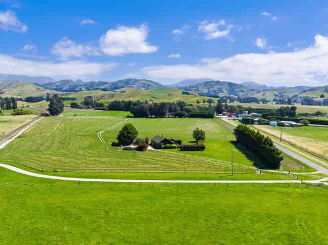 36 Seddon Street, Ward