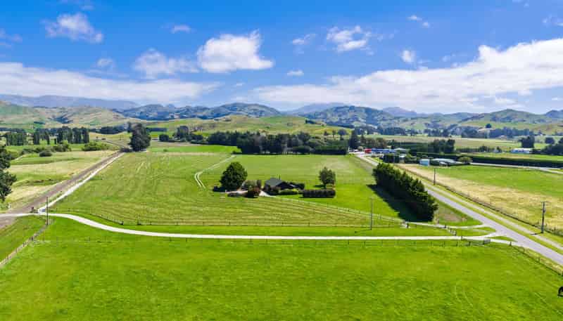 36 Seddon Street, Ward