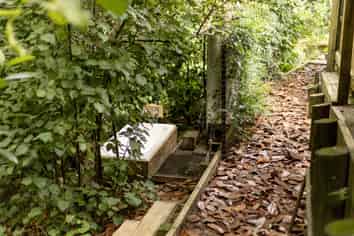 20 Emmerdale Place, Ohauiti