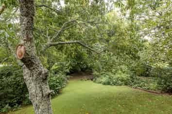 20 Emmerdale Place, Ohauiti