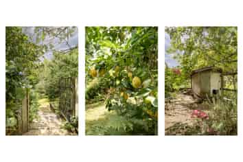 20 Emmerdale Place, Ohauiti