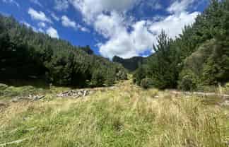 328B Kaka Road, Okoki