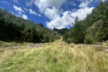 328B Kaka Road, Okoki