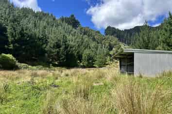 328B Kaka Road, Okoki