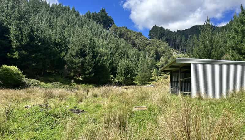 328B Kaka Road, Okoki