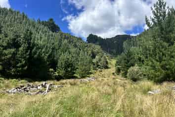 328B Kaka Road, Okoki