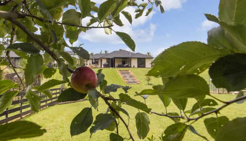 1 Karamu Place, Waihi