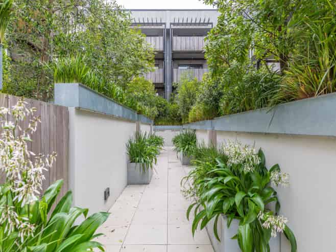 305/30 Enfield Street, Mount Eden