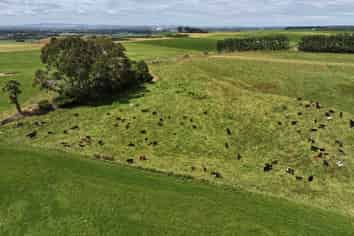 986 Downs Road South, Edendale