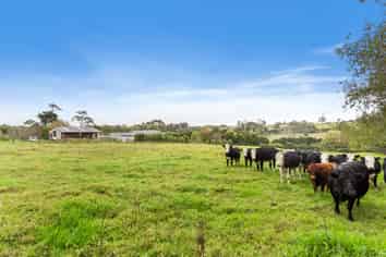 44 Follies Way, Dairy Flat