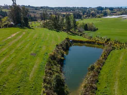 173 Dominion Road, Mahana