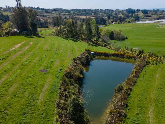 173 Dominion Road, Mahana