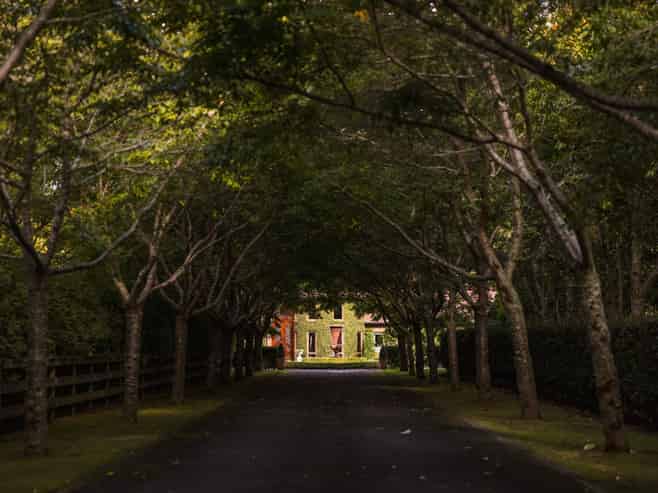 16e Davidson Lane, Tamahere