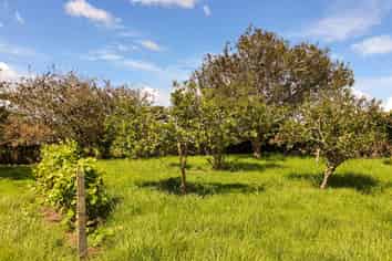 144 Remuera Settlement Road, Ohaeawai