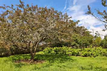 144 Remuera Settlement Road, Ohaeawai