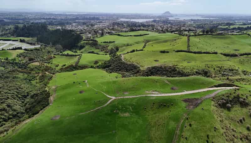 412C Upper Ohauiti Road, Ohauiti