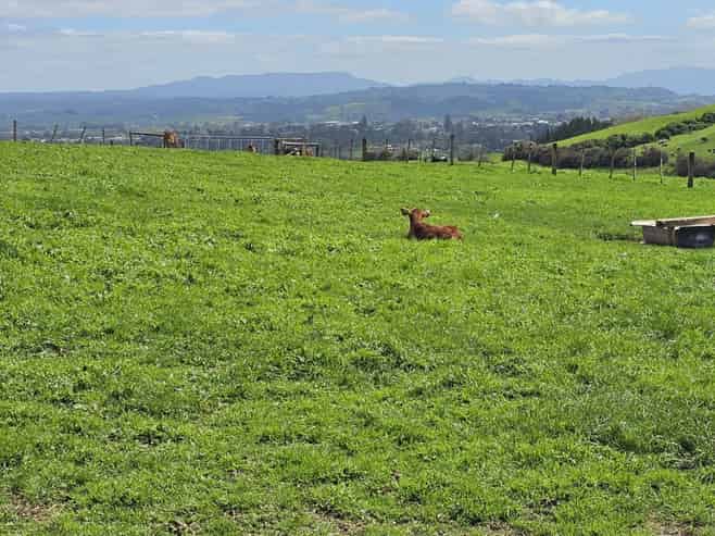 412C Upper Ohauiti Road, Ohauiti