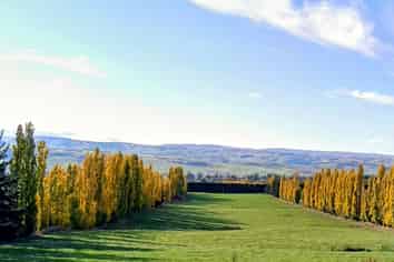  Ettrick Road, Roxburgh