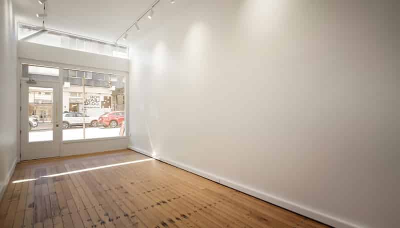 113 Parnell Road, Parnell