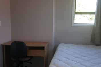 3/3 Paeroa Street, Riccarton