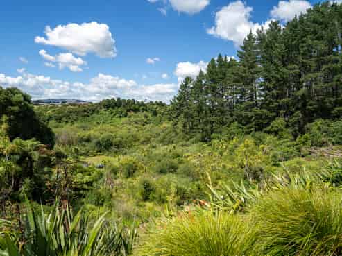 36 Silverwood Lane, Cambridge