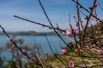 27 and 31 Hunterville Road, Waiheke Island