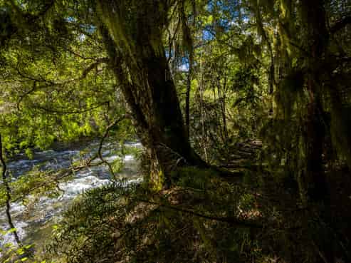 101 Gowan Valley Road, Murchison