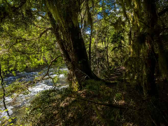 101 Gowan Valley Road, Murchison