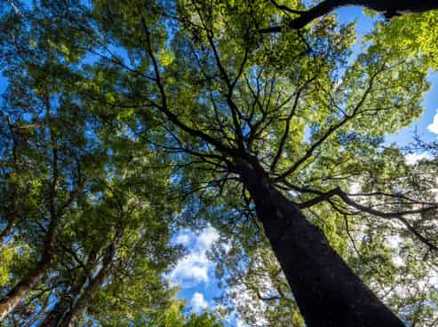 101 Gowan Valley Road, Murchison