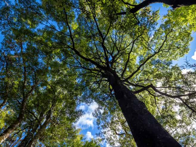 101 Gowan Valley Road, Murchison