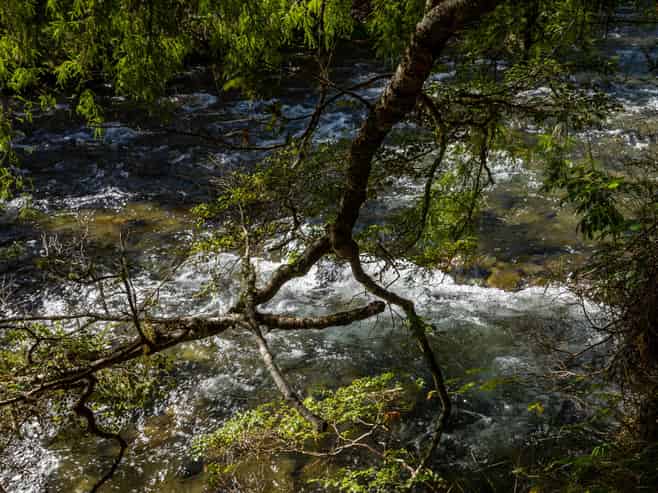 101 Gowan Valley Road, Murchison