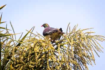 28 Valley Road, Cashmere