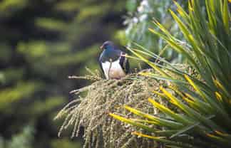 28 Valley Road, Cashmere