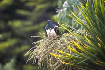 28 Valley Road, Cashmere