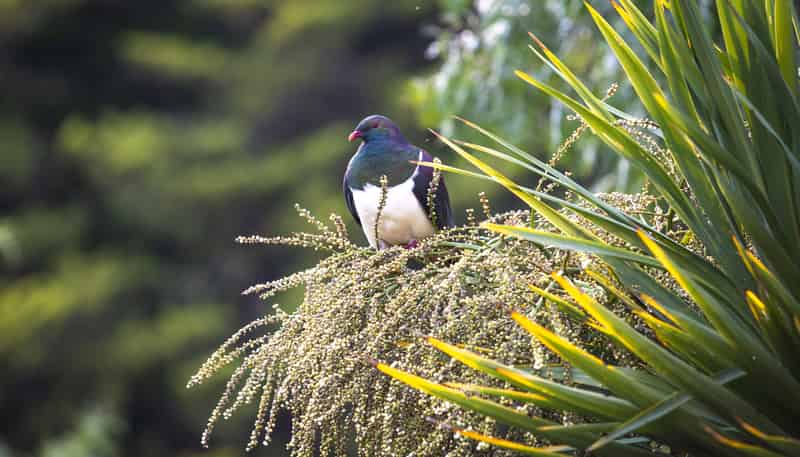 28 Valley Road, Cashmere