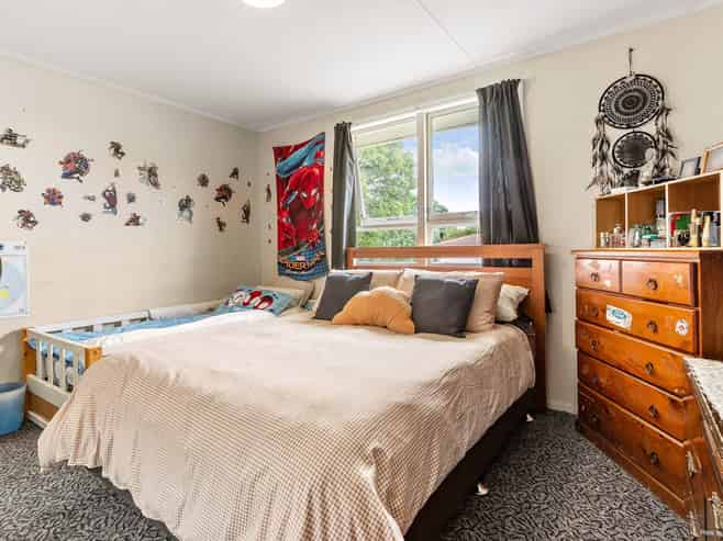 17 Frank Hewitt Street, Pukekohe