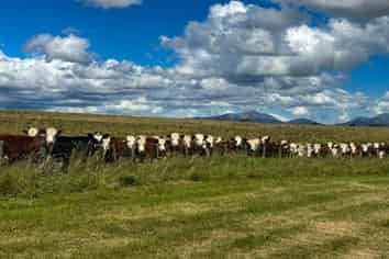 412 Kakapo Road, Te Anau