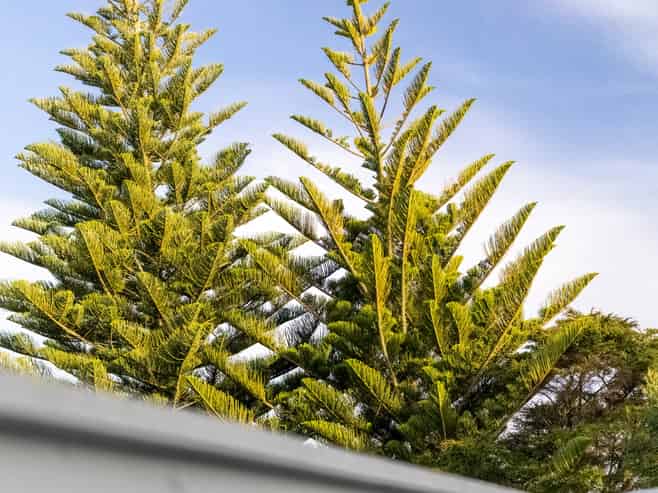 63 Hartley Terrace, Massey