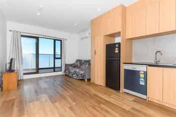 303/48 Clay works lane, New Lynn