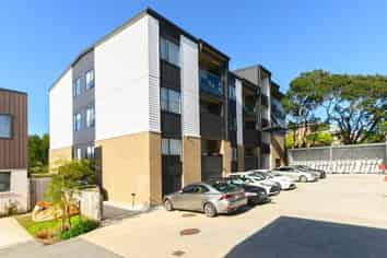 303/48 Clay works lane, New Lynn