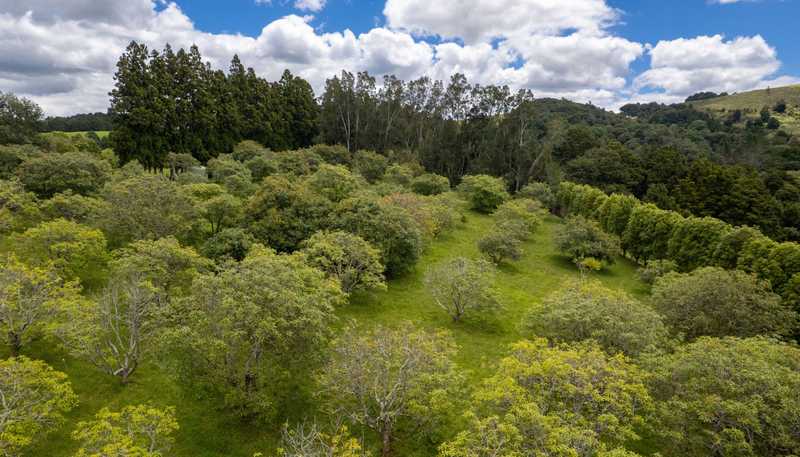 5631 State Highway 12, Kaikohe