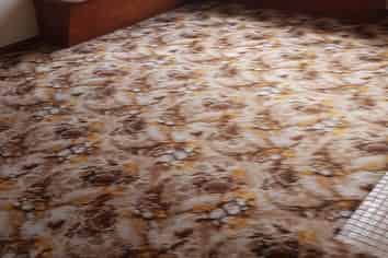 690 Childers Road, Elgin