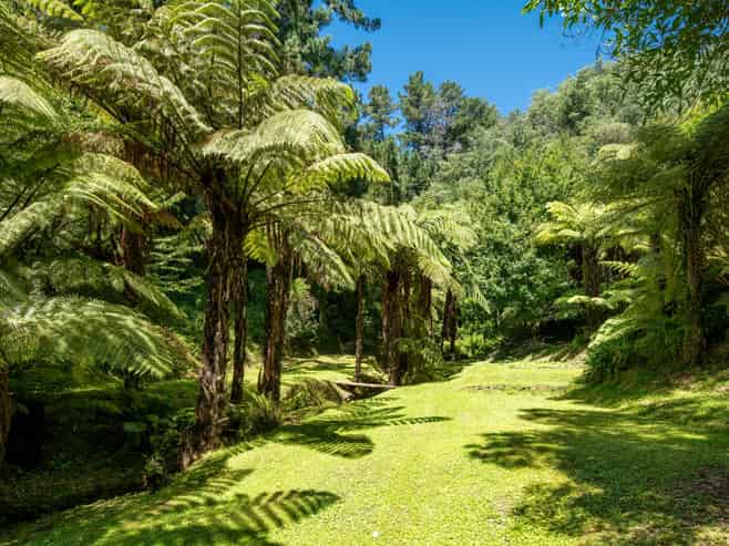 20 Lincoln Street, Picton