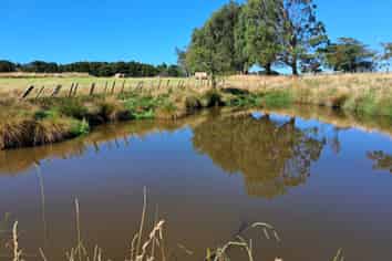 Lot 3/355 Lethbridge Road, Feilding