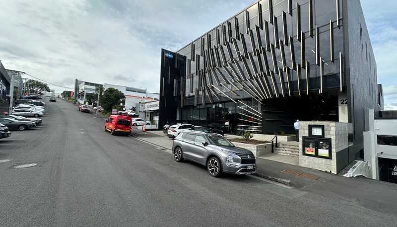 22 Pollen Street, Grey Lynn