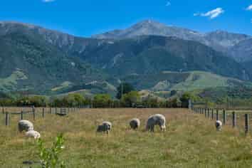 7 Skevingtons Road, Hapuku