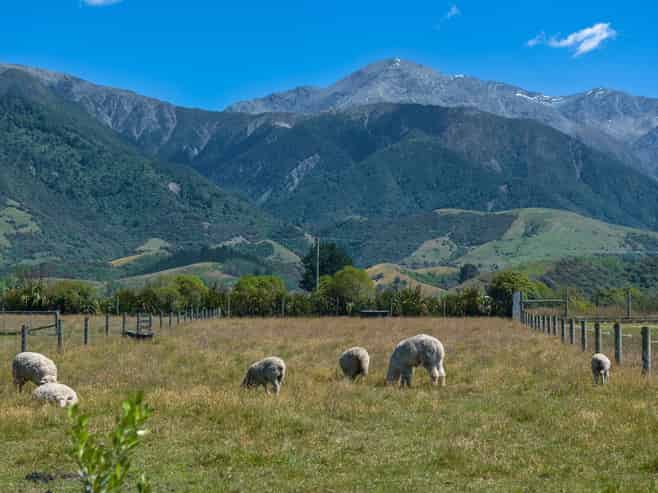 7 Skevingtons Road, Hapuku