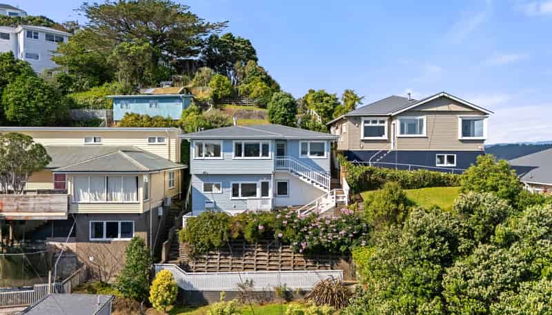 100 Rakau Road, Hataitai